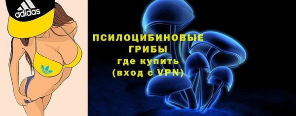 мяу мяу мука Алзамай