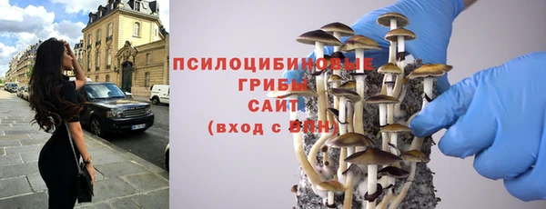 мяу мяу мука Алзамай