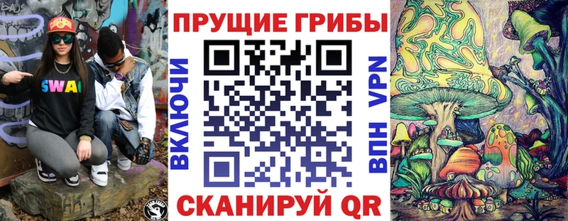Галлюциногенные грибы Cubensis Находка