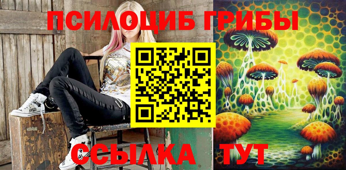 Галлюциногенные грибы Psilocybe Находка