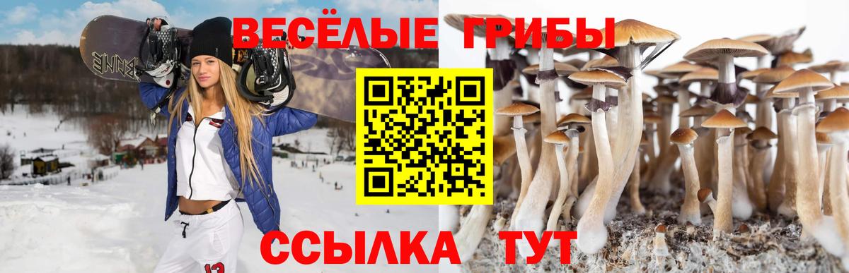 Находка  Псилоцибиновые грибы Cubensis  Псилоцибиновые грибы Cubensis  Вход с VPN 